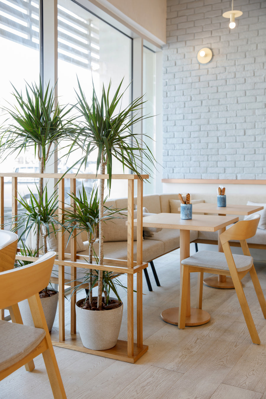 Cafe Bagel Yard Bagel Yard Cafe Authentic Montreal Bagels